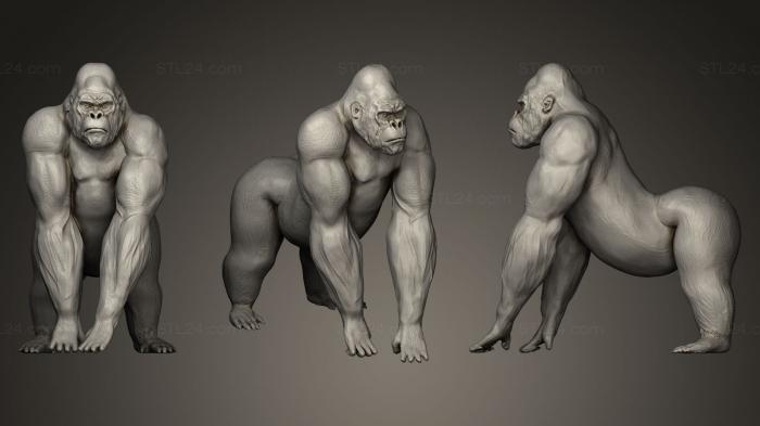 Статуэтки животных (Горилла Кинг-Конг, STKJ_0304) 3D модель для ЧПУ станка